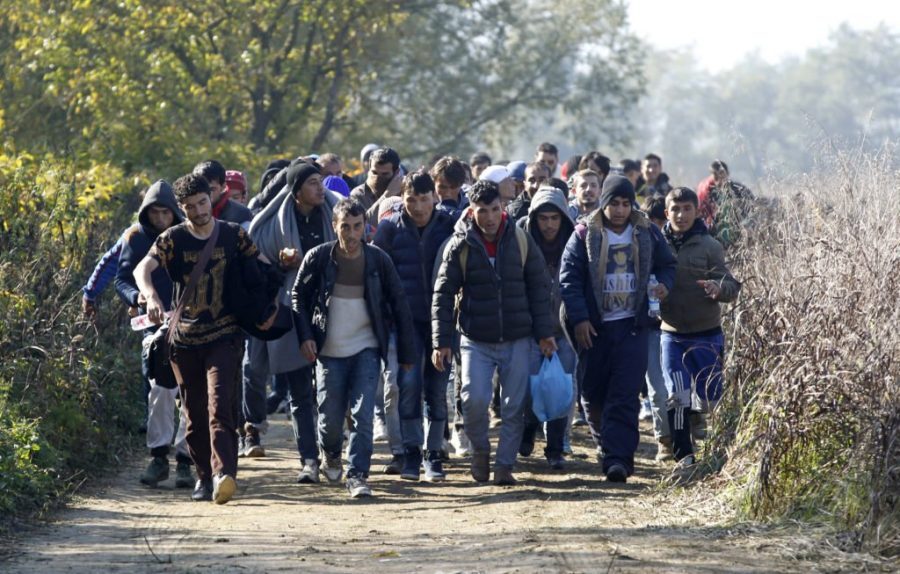 migranti