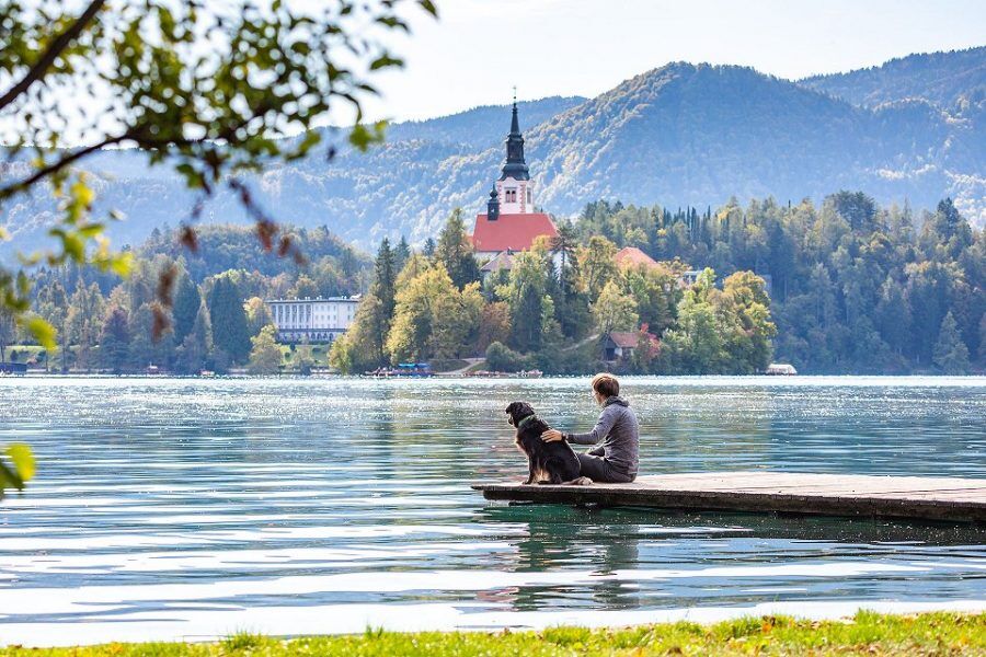 BLED
