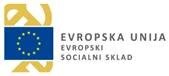 Republika Slovenija in Evropski socialni sklad
