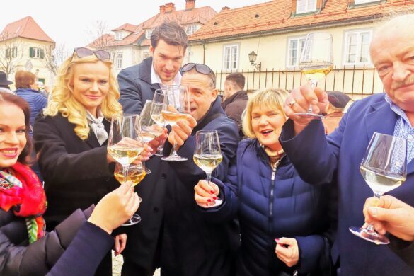 kandidati za poslance SDS na rezu stare trte na Lentu