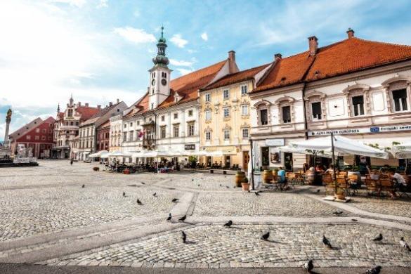 maribor golobi
