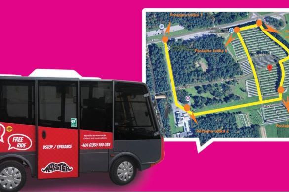 raznični prevoz: brezplačni liniji 3 in 12 ter Maister na Dobravi