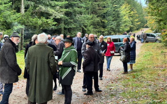 Posnetek zaslona 2024-10-05 141640