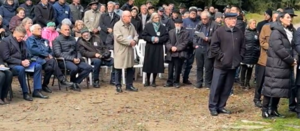 Posnetek zaslona 2024-10-05 142409
